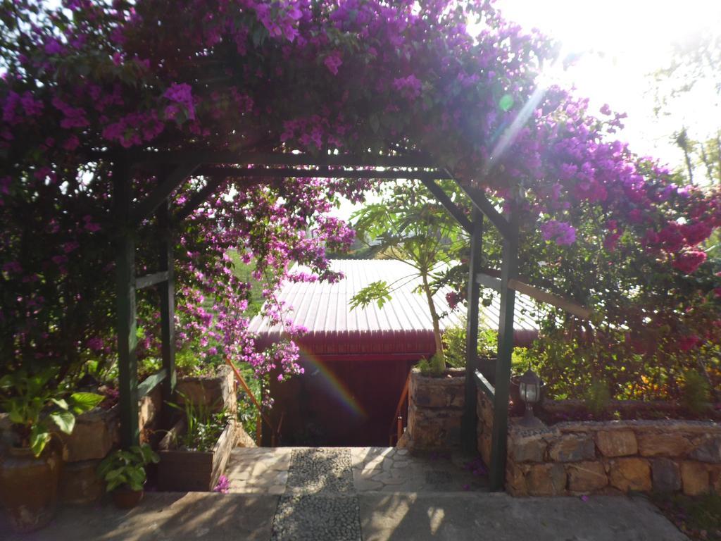 Aythaya Monte Divino Lodge Taunggyi Exteriör bild